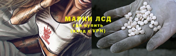 гашик Михайловск