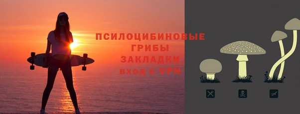 гашик Михайловск