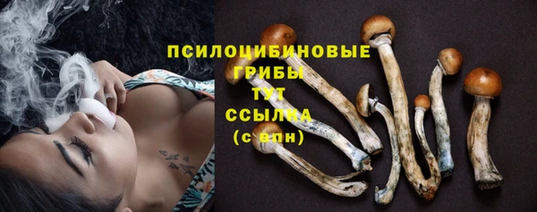гашик Михайловск