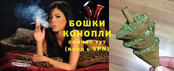гашик Михайловск