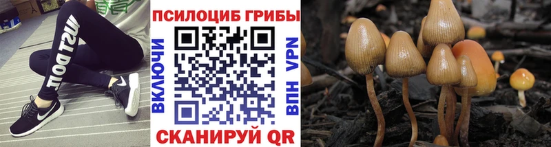 hydra как зайти  магазин продажи   Челябинск  Псилоцибиновые грибы Magic Shrooms 